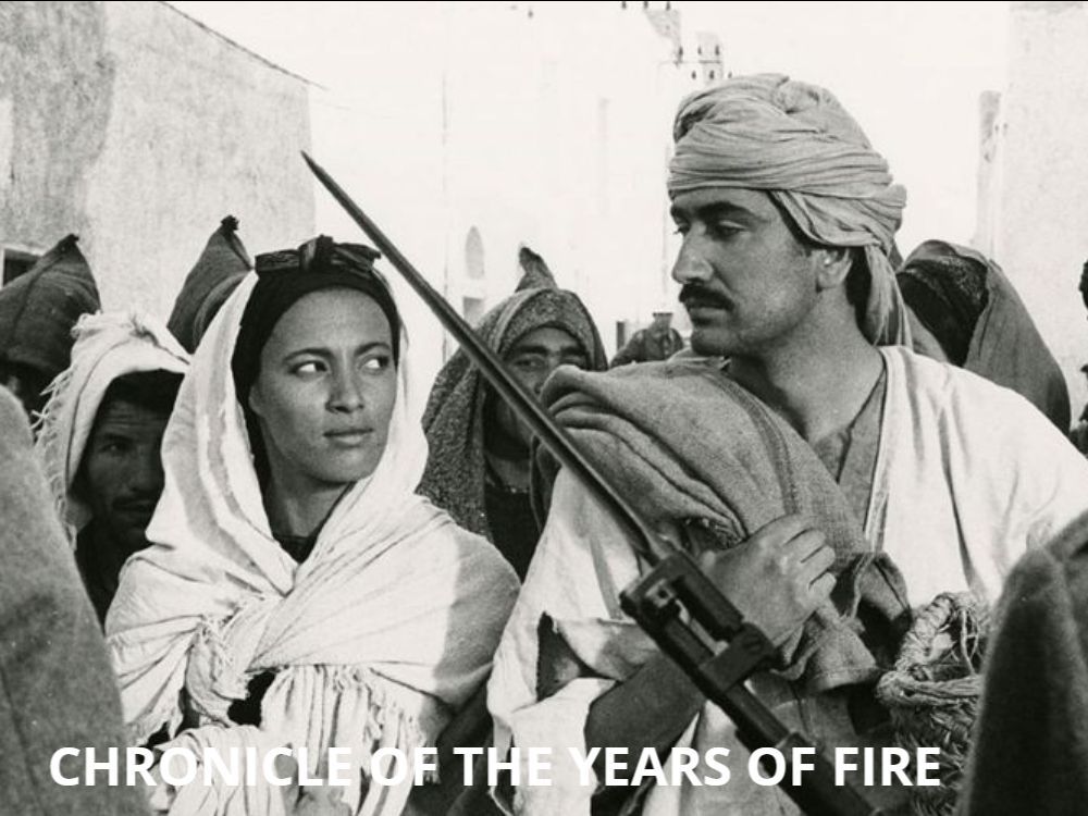 How Often Have African Films Won the Six Festival Prizes Now Tied to the Oscars?